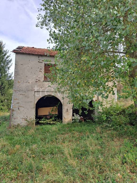 immagine annuncio 9 di 12