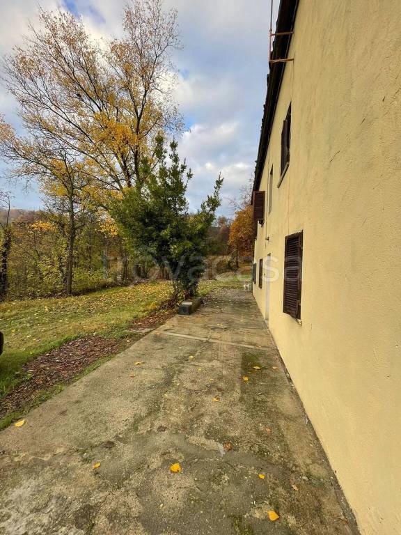 immagine annuncio 9 di 12