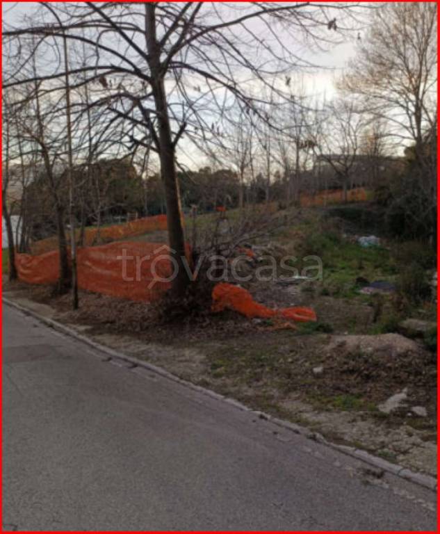 immagine annuncio 4 di 12