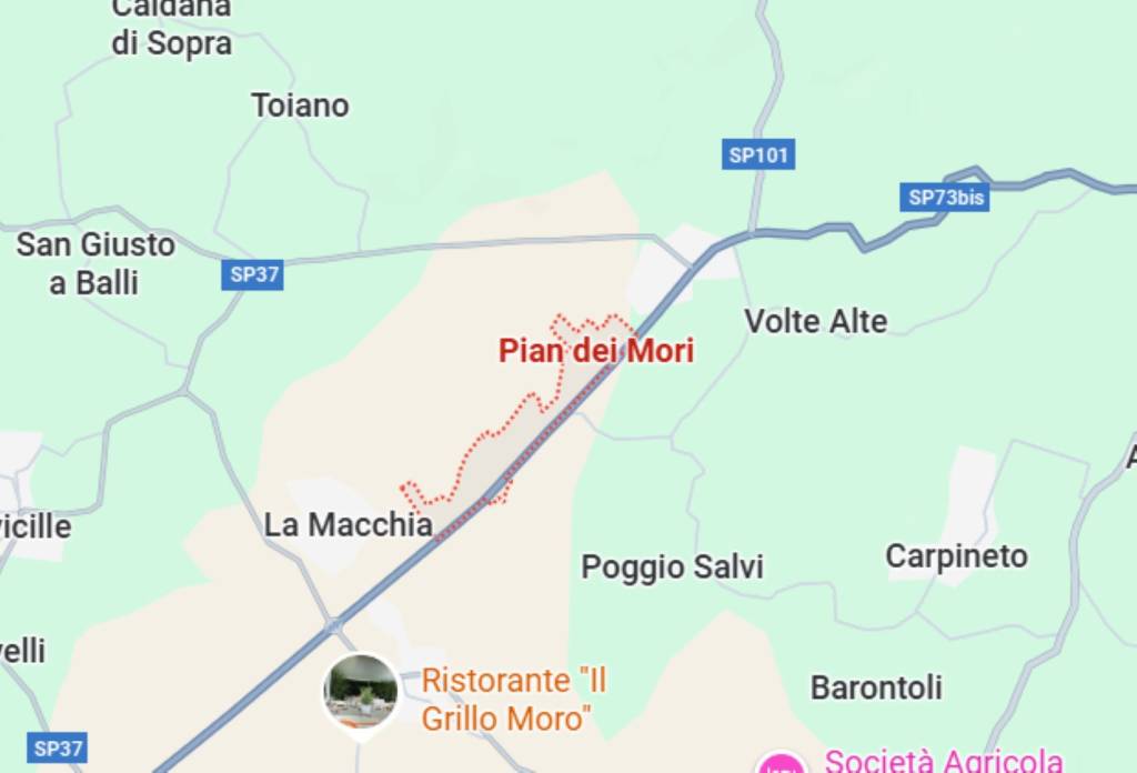 immagine annuncio 4 di 10