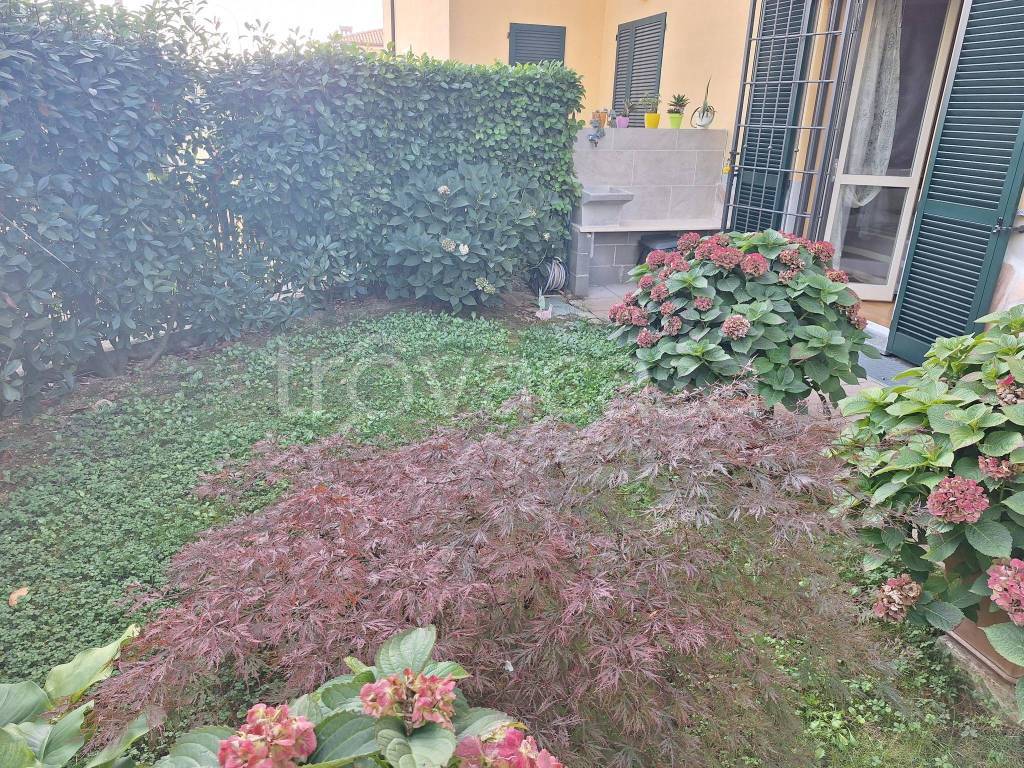 immagine annuncio 2 di 15