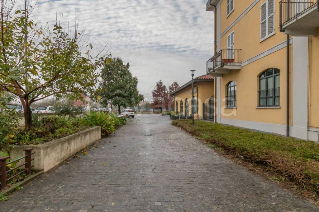 immagine annuncio 14 di 15