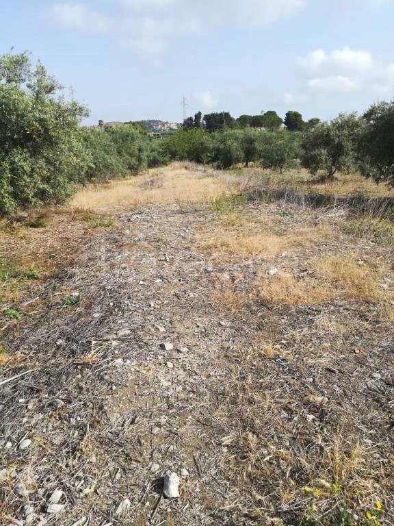 immagine annuncio 3 di 9