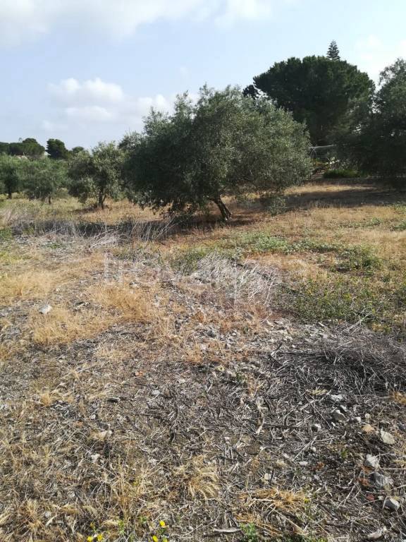 immagine annuncio 4 di 9