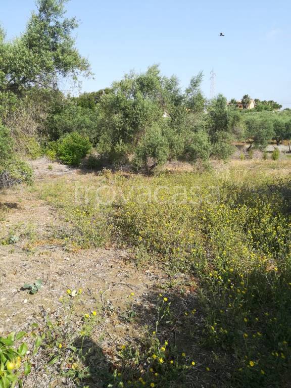 immagine annuncio 5 di 9