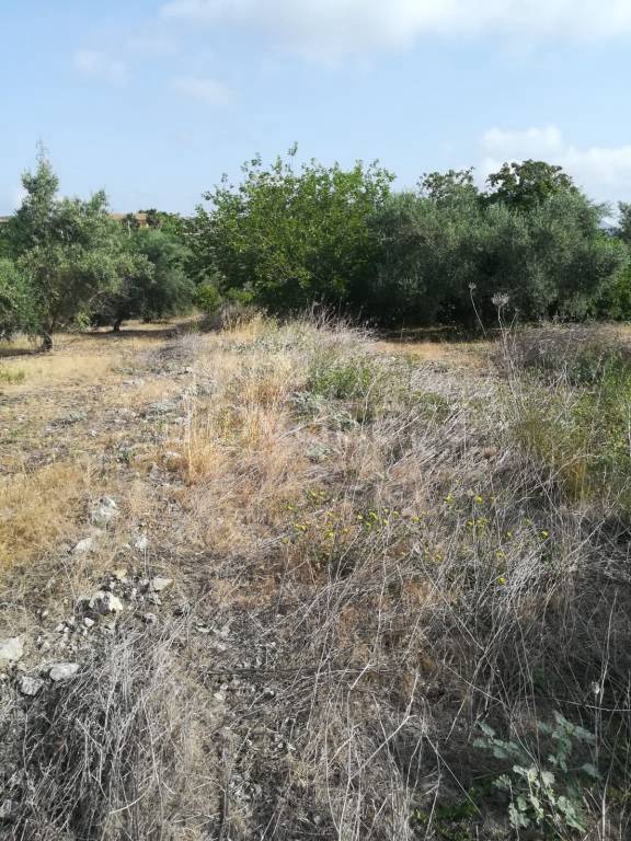 immagine annuncio 7 di 9