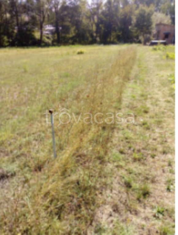 immagine annuncio 6 di 11