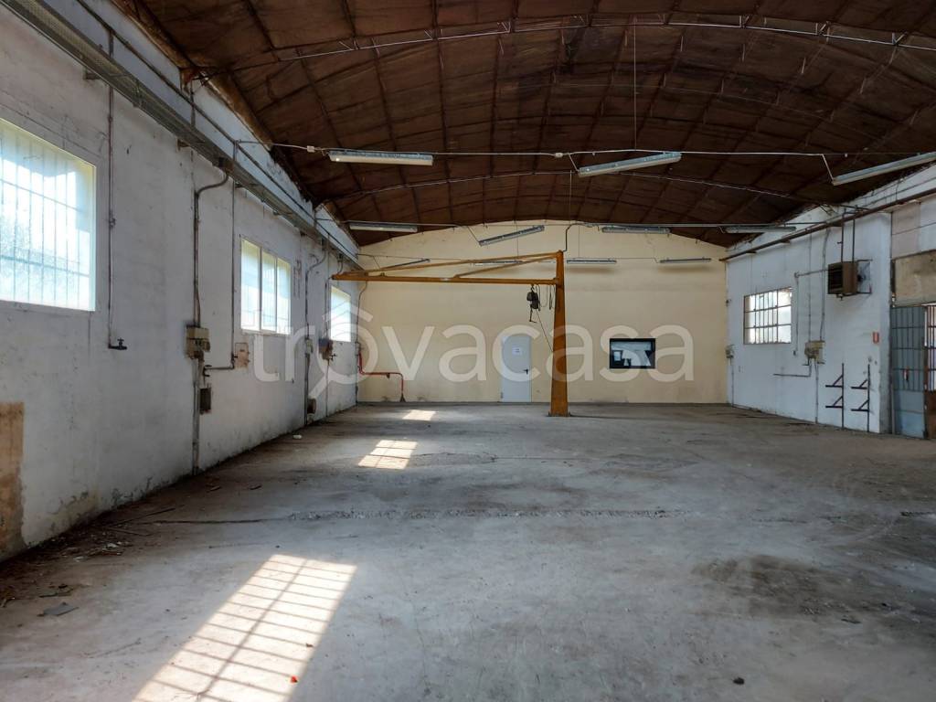 immagine annuncio 2 di 14