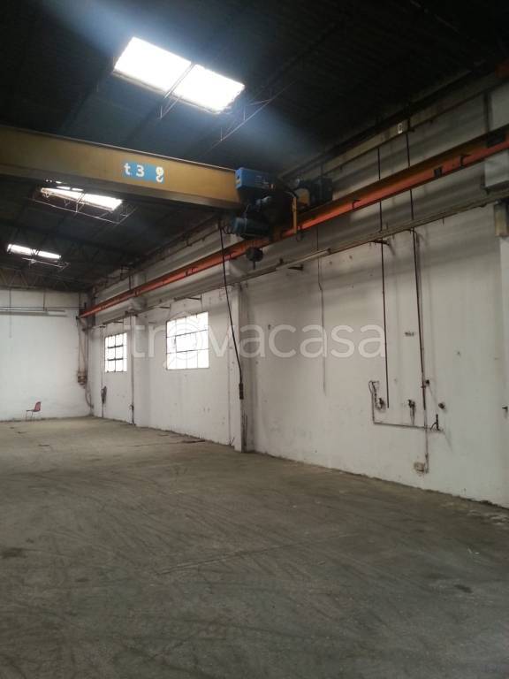 immagine annuncio 4 di 14