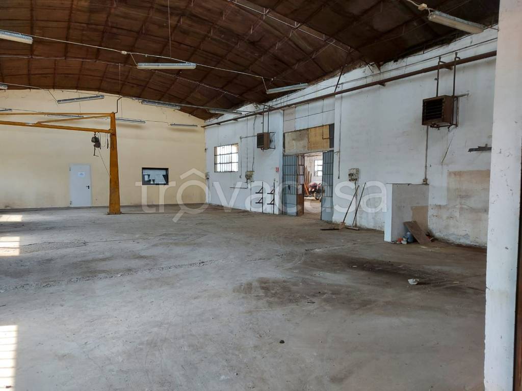 immagine annuncio 5 di 14