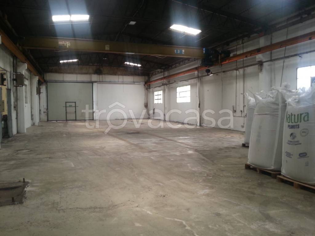 immagine annuncio 6 di 14