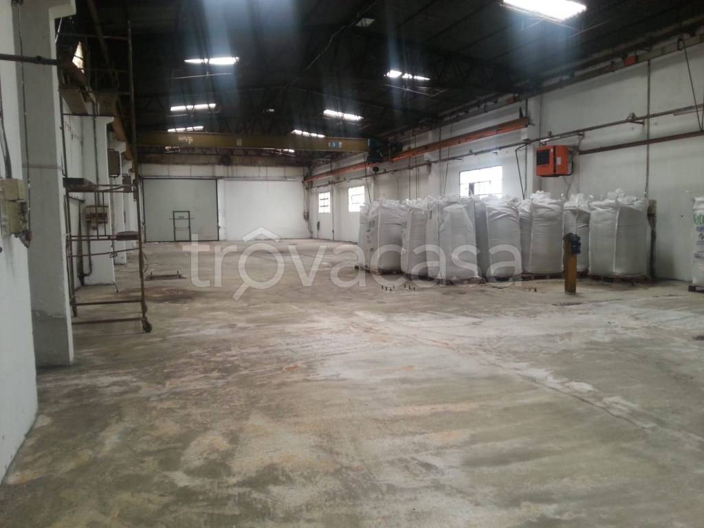 immagine annuncio 7 di 14