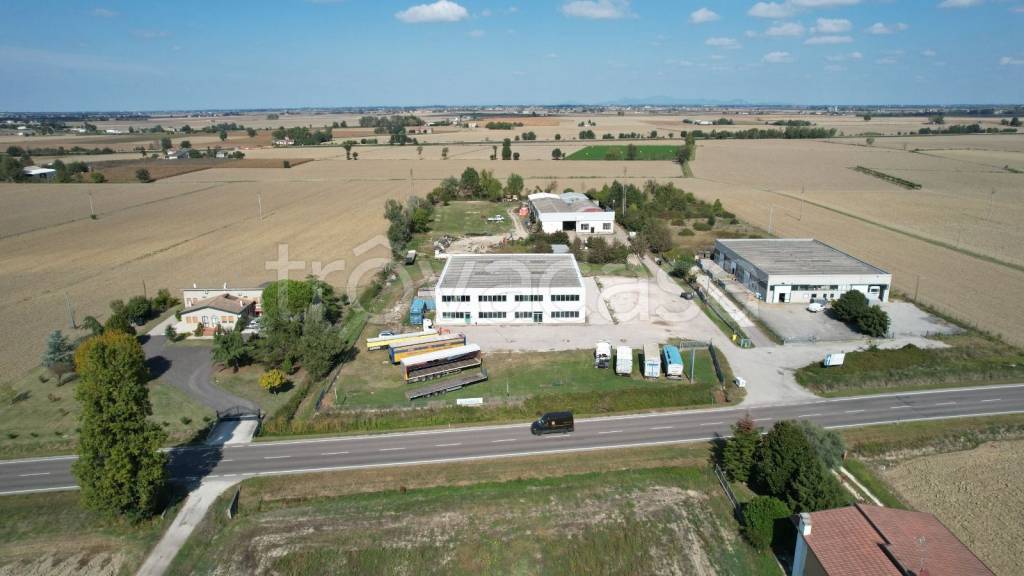 immagine annuncio 9 di 14