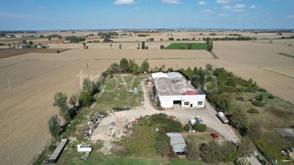 immagine annuncio 11 di 14