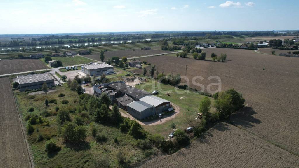 immagine annuncio 12 di 14