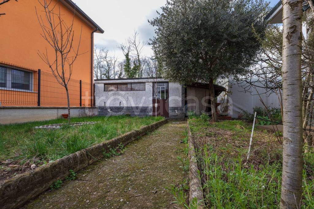 immagine annuncio 11 di 15