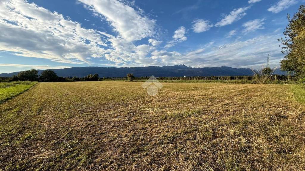 immagine annuncio 4 di 7