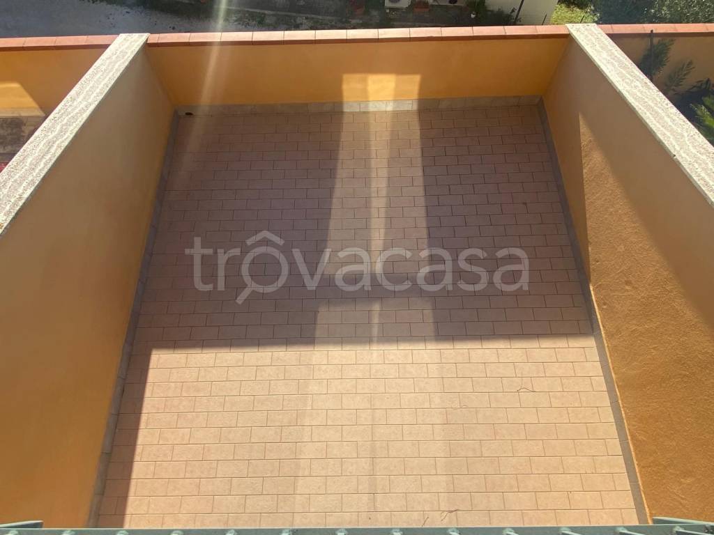 immagine annuncio 12 di 14
