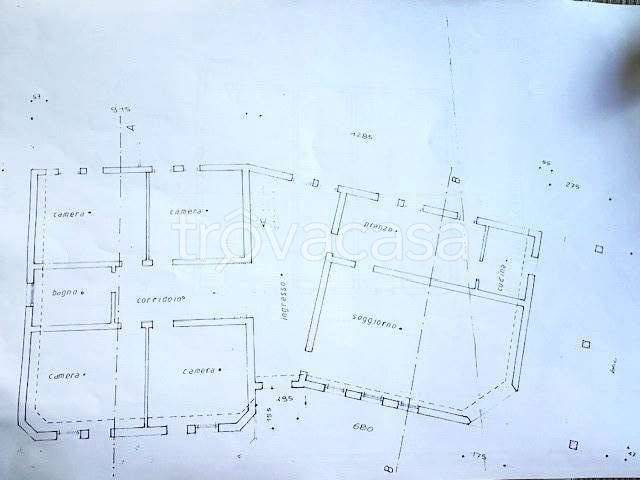 immagine annuncio 1 di 8