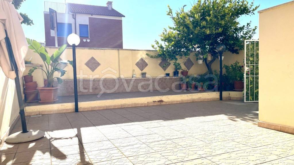 immagine annuncio 4 di 14