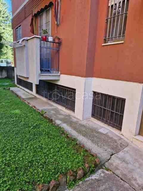 immagine annuncio 2 di 13