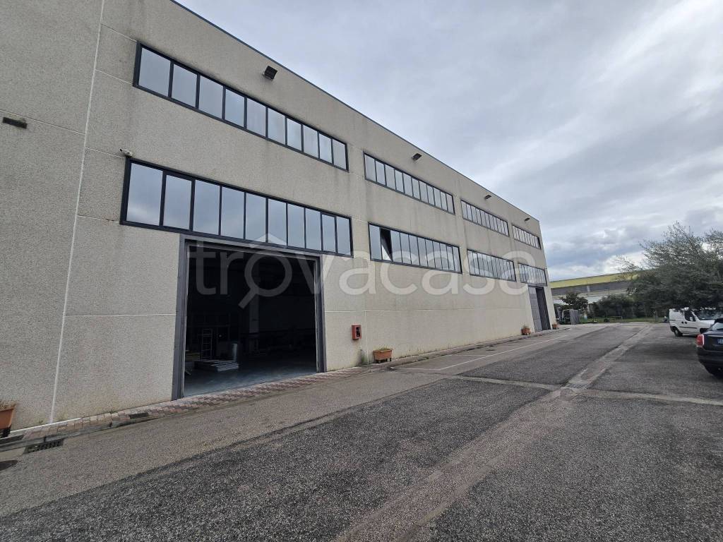 immagine annuncio 7 di 11