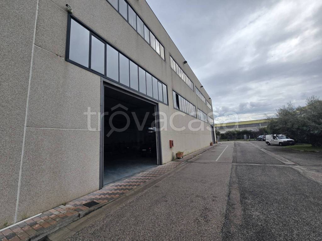 immagine annuncio 8 di 11