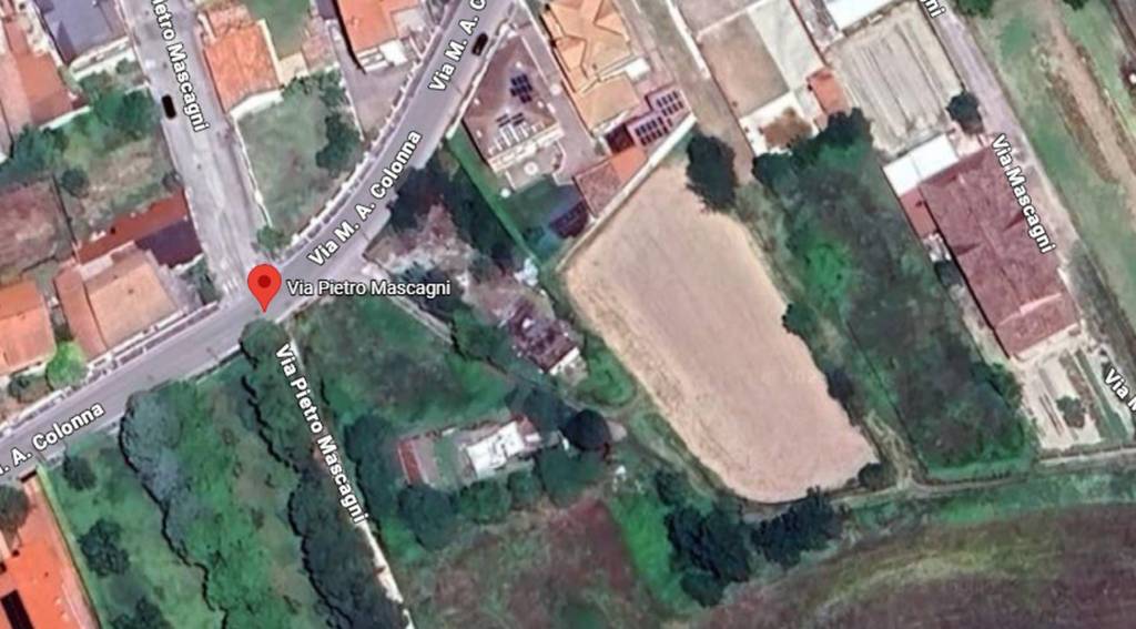 immagine annuncio 2 di 14