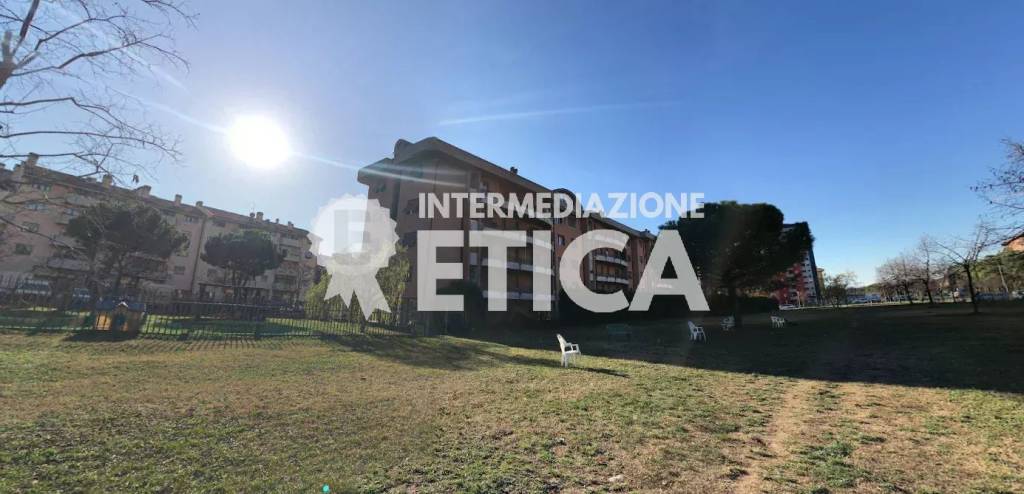 immagine annuncio 1 di 12