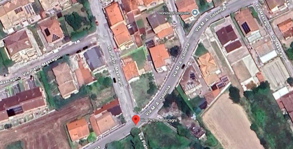 immagine annuncio 4 di 14