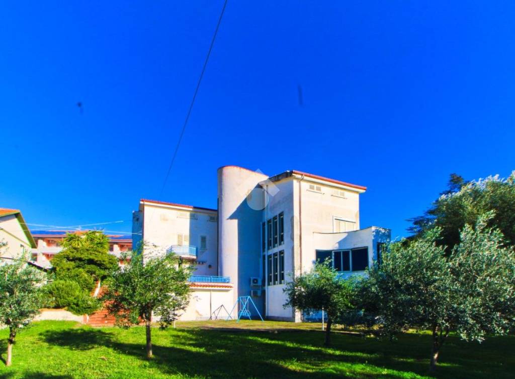 immagine annuncio 1 di 12