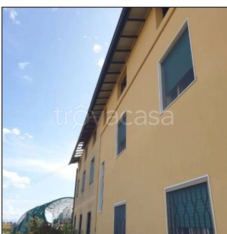 immagine annuncio 3 di 8