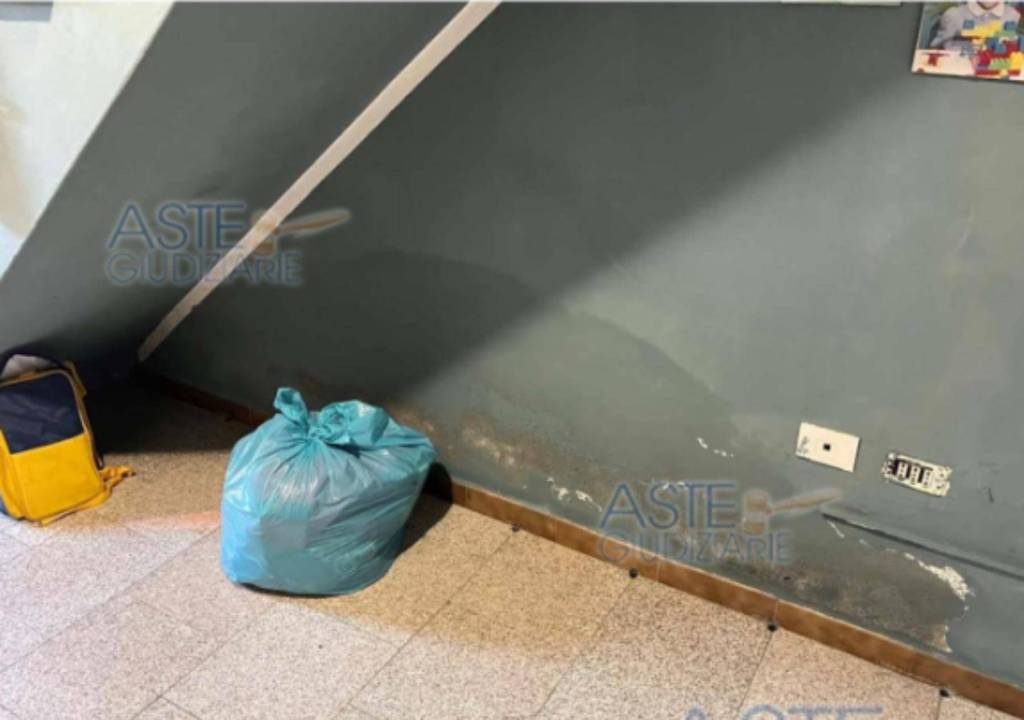 immagine annuncio 2 di 11