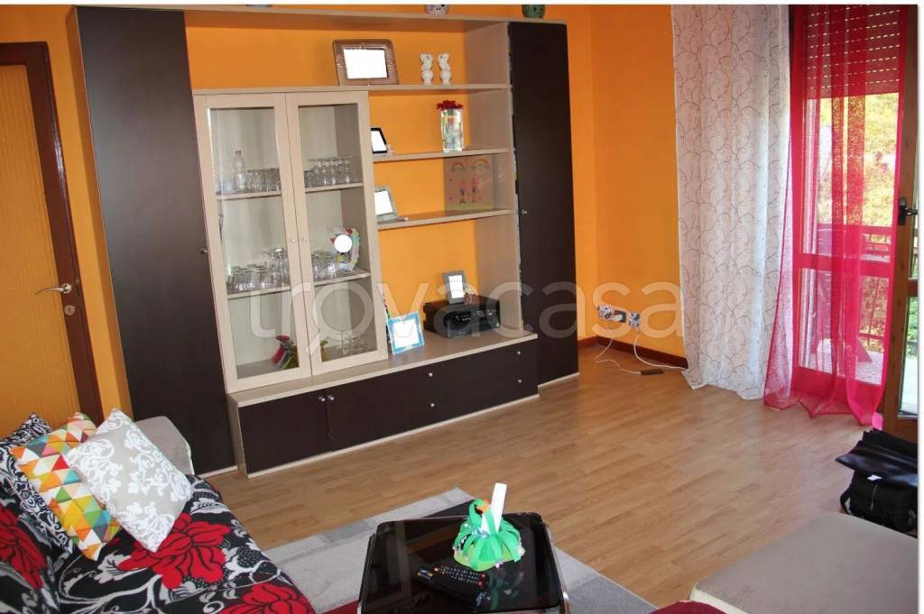 immagine annuncio 3 di 14