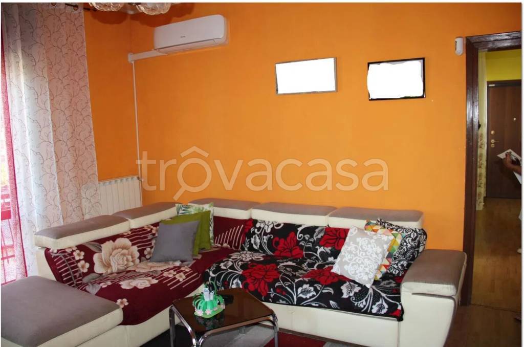 immagine annuncio 4 di 14