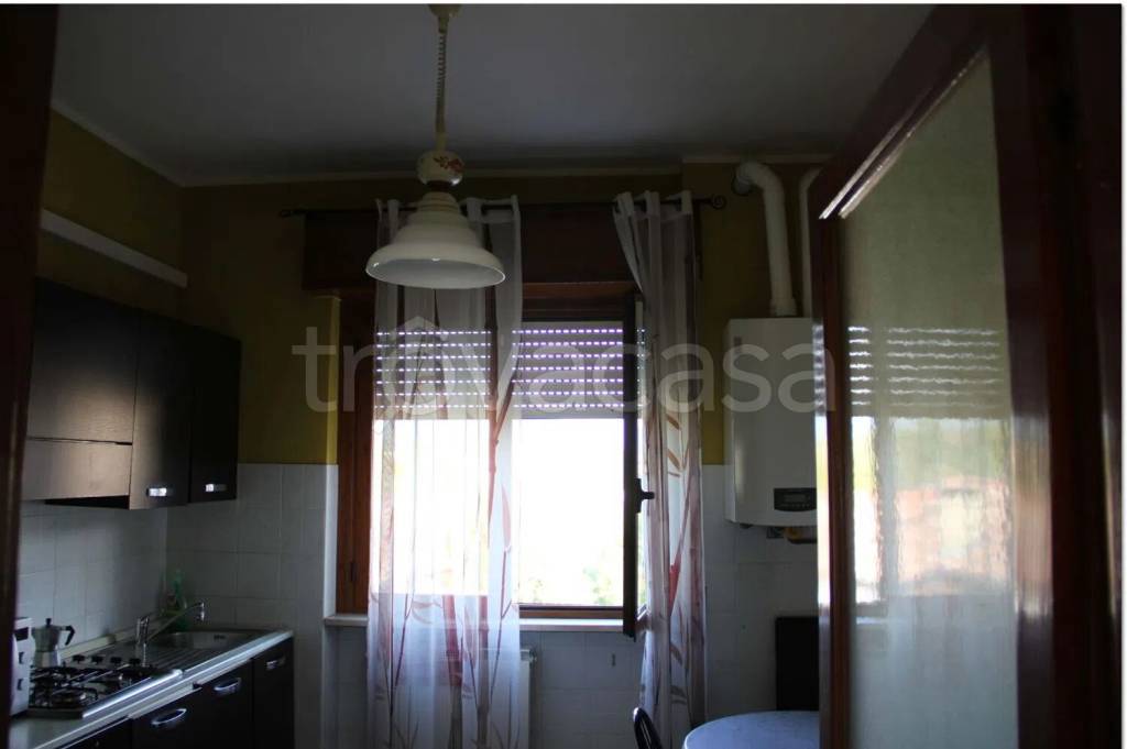 immagine annuncio 7 di 14