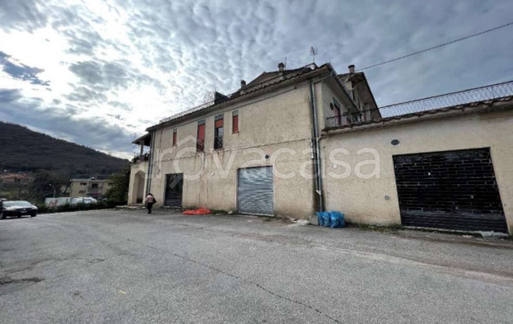 immagine annuncio 6 di 12