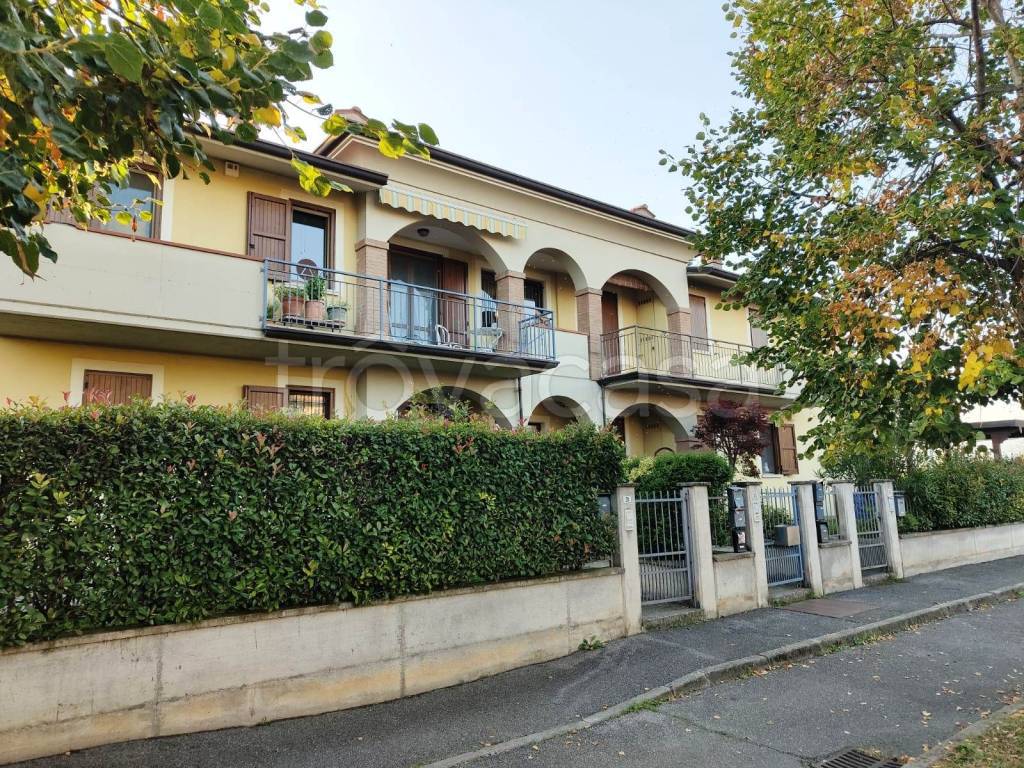 immagine annuncio 6 di 15