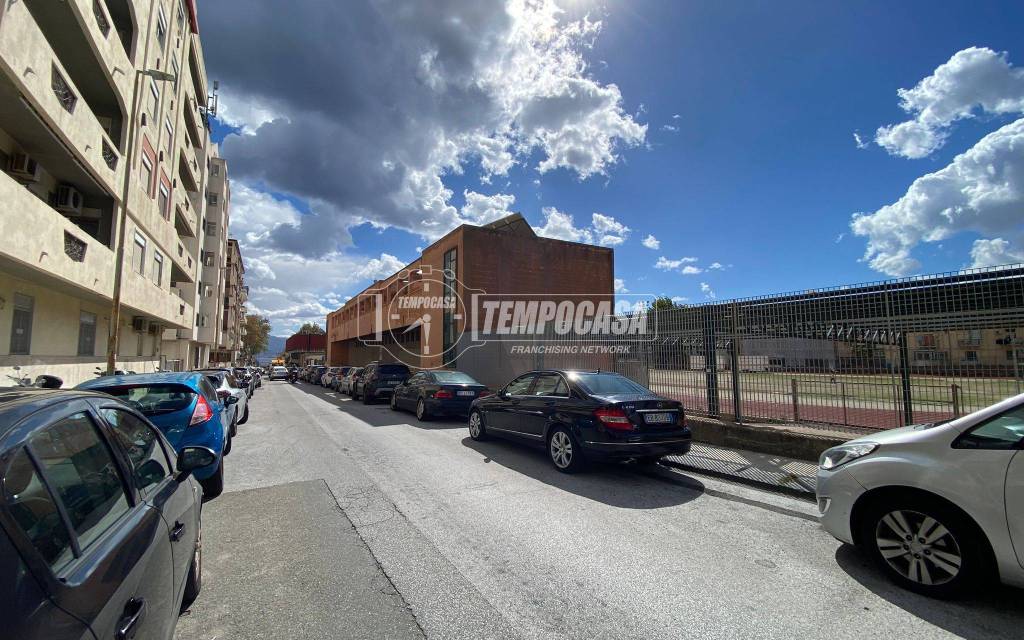 immagine annuncio 12 di 14