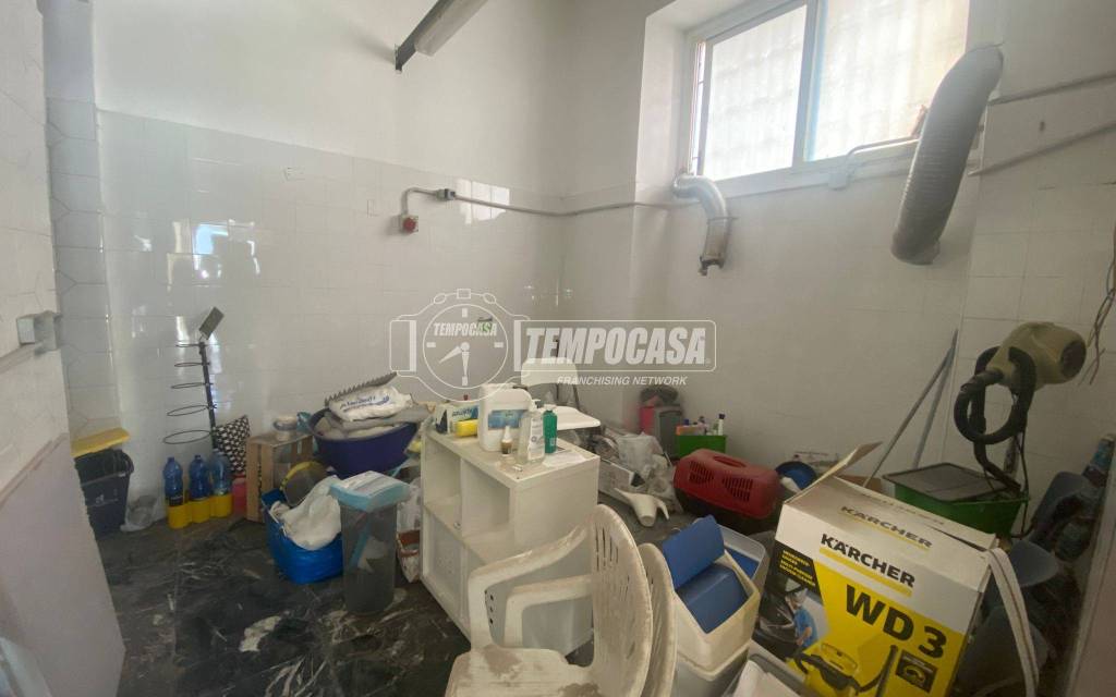 immagine annuncio 7 di 14