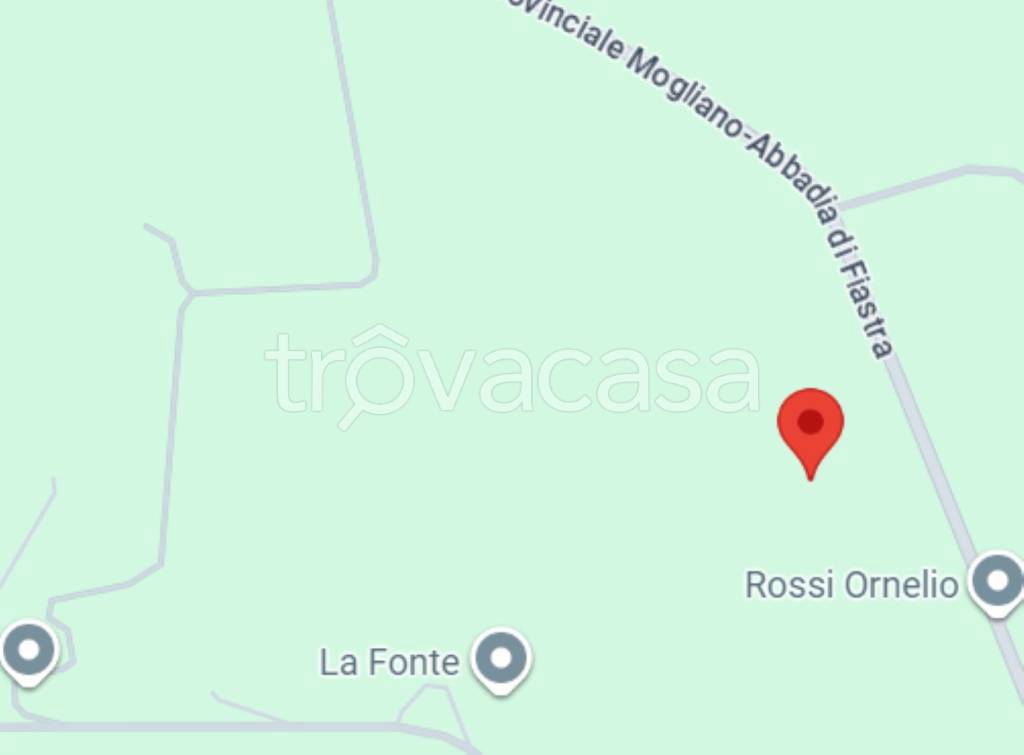 immagine annuncio 5 di 14