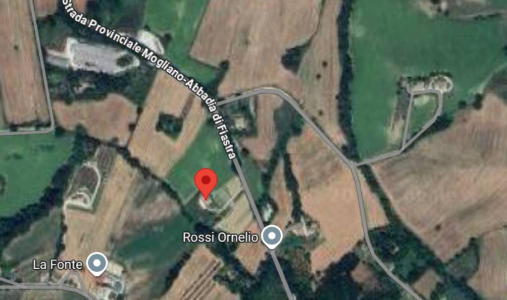 immagine annuncio 7 di 14