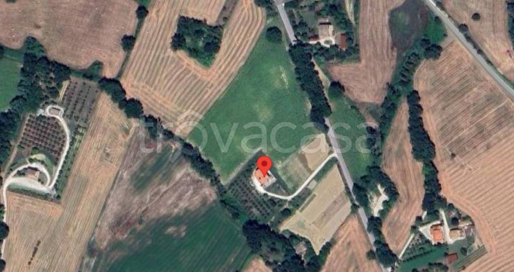 immagine annuncio 9 di 14