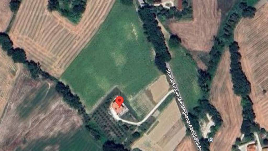 immagine annuncio 10 di 14