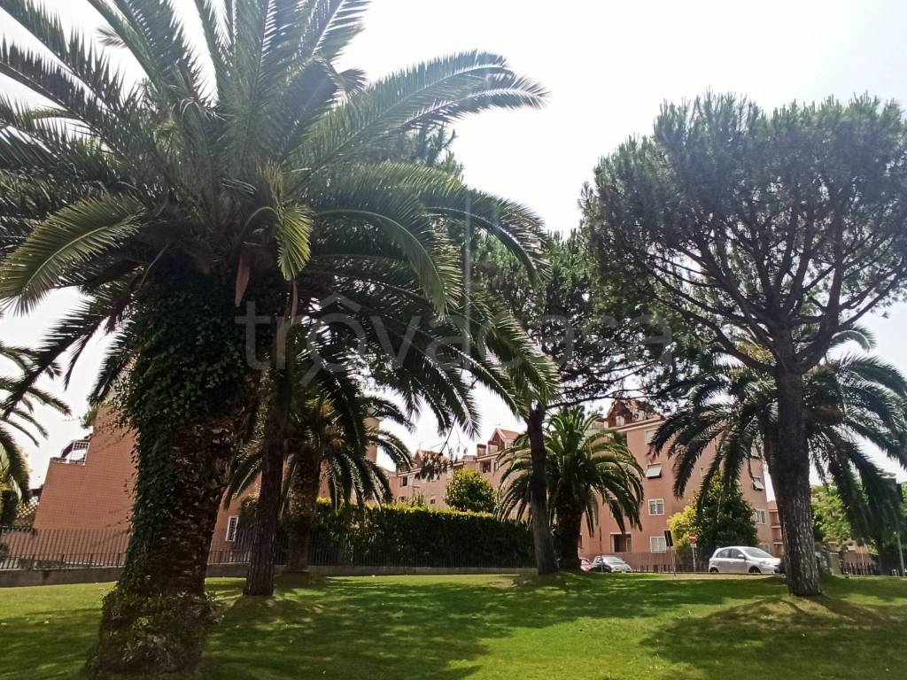 immagine annuncio 5 di 6