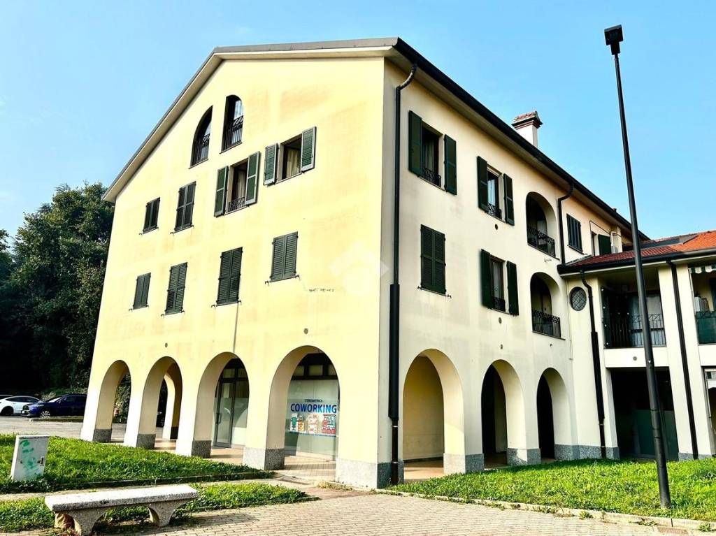 immagine annuncio 3 di 15