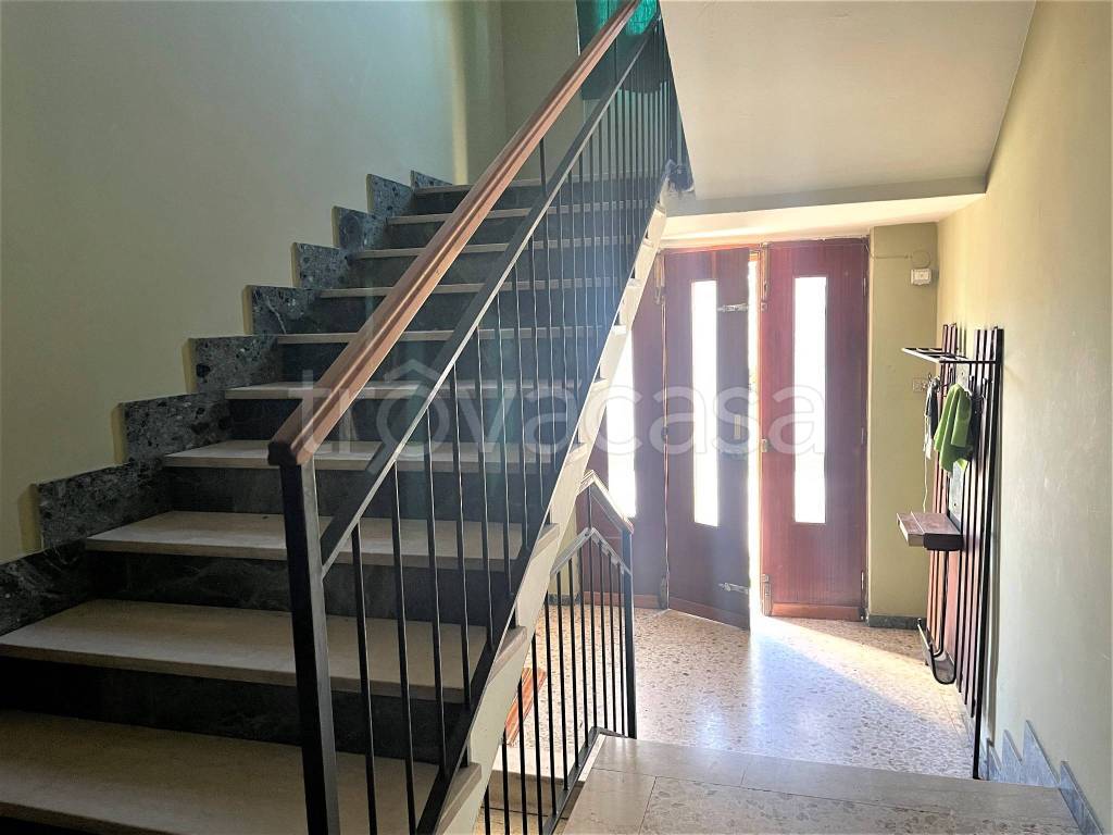 immagine annuncio 10 di 14