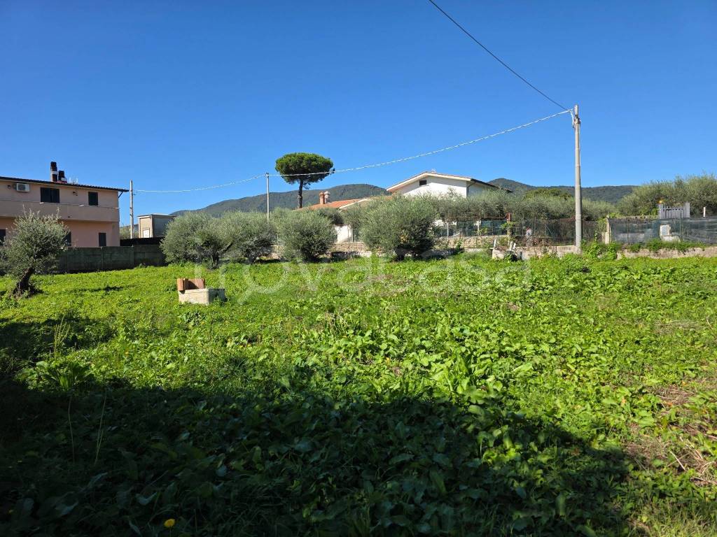 immagine annuncio 3 di 13