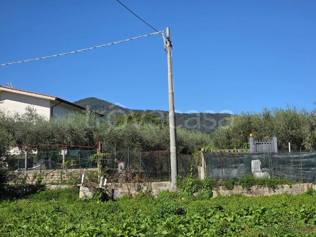 immagine annuncio 5 di 13
