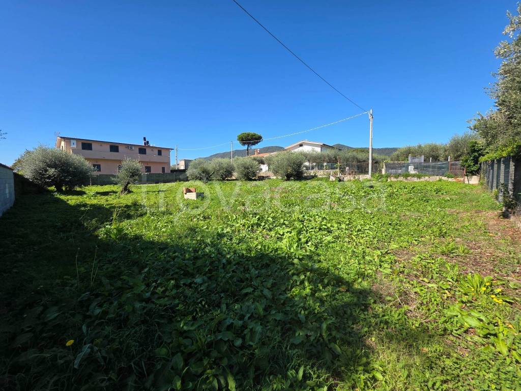 immagine annuncio 6 di 13